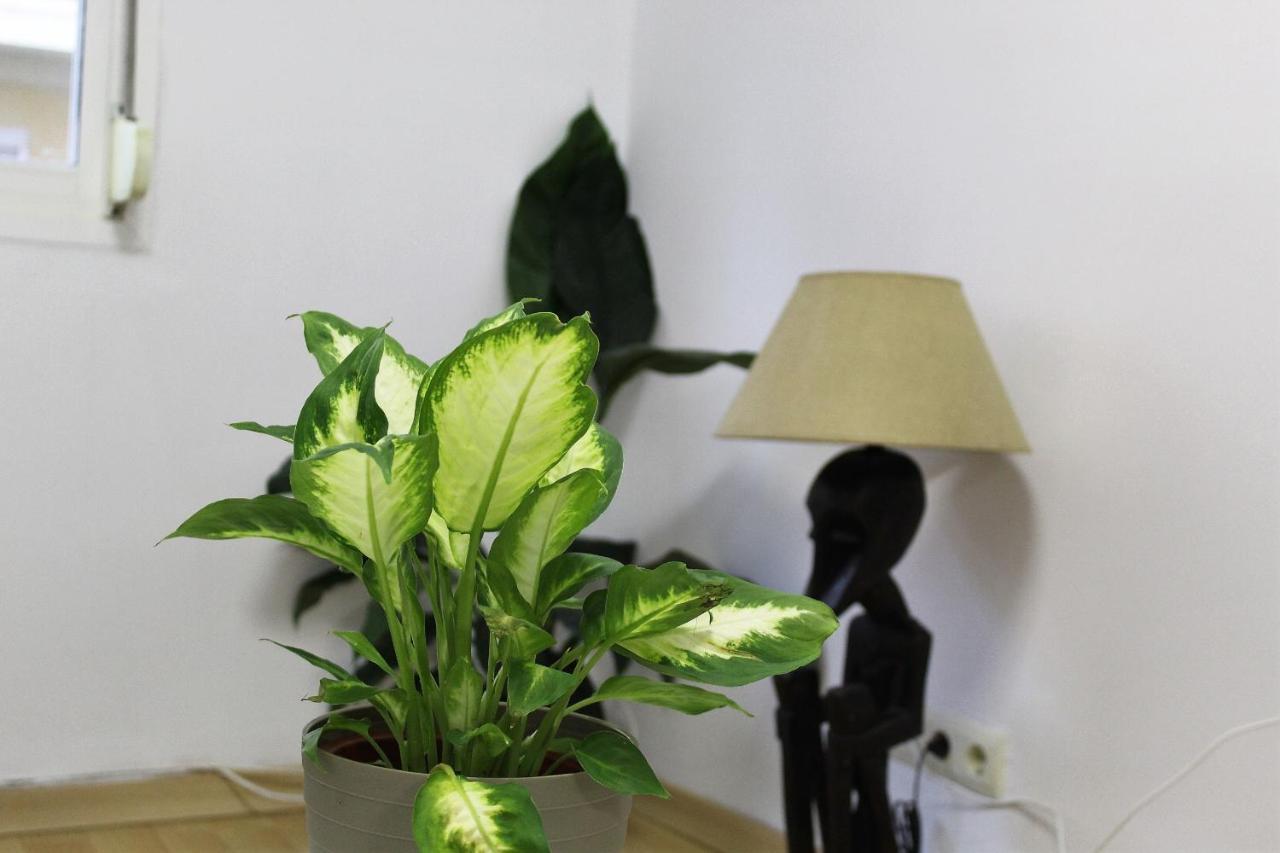 Al Pie Del Camarin Con Parking Gratis Apartment Jaen Bagian luar foto